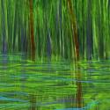 "Pond"  Digital acrylic painting with digital enhancement  10" x 8"