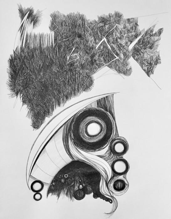 "Untitled IV"   ball point pen on paper, 24" x 18"